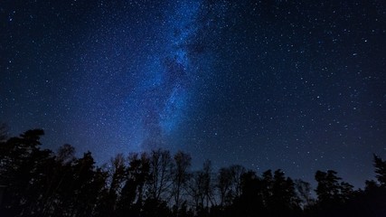 Fototapeta na wymiar Beautiful night sky with Milky Way over forest.