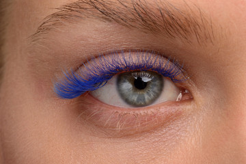 Obraz premium eyelash extensions. blue eyelashes. eye close up
