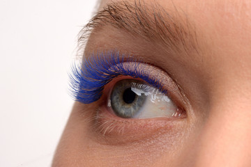 eyelash extensions. blue eyelashes. eye close up