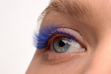 eyelash extensions. blue eyelashes. eye close up