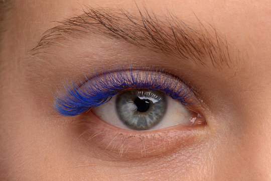 eyelash extensions. blue eyelashes. eye close up