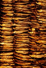 Smoked Baltic sprat at the Fish Market in Riga, Latvia