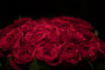 Red roses