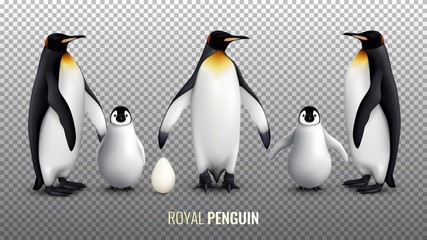 Royal Penguin Realistic Set 