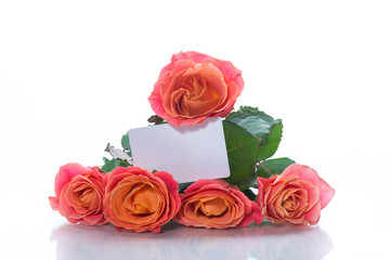 bouquet of beautiful pink roses isolated on white