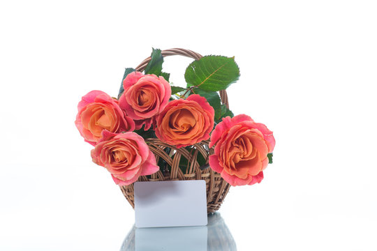 bouquet of beautiful pink roses isolated on white