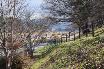 京都ぶらり、冬ざれの鴨川公園あたり