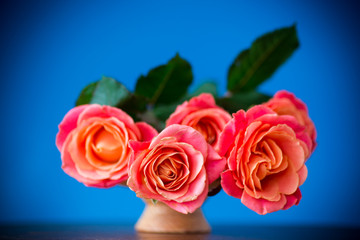 bouquet of beautiful pink roses isolated on blue