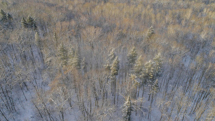 air view of winter forest on sunny day with lot of snow on tree and blue sky 