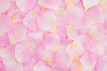 Love background with a pink rose flower petals