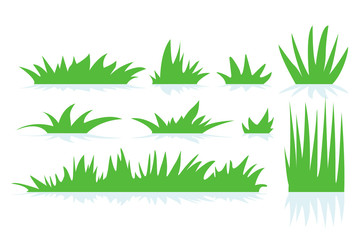 Vector of a green grass