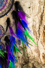 Fototapeta premium Handmade dream catcher with feathers threads and beads rope hanging