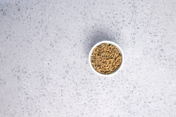 Sprouted wheat on a light background. toned