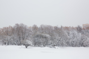 Winter in Russia with fresh white snow 