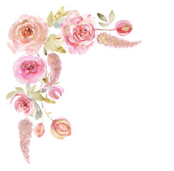 Watercolor roses on a white background. Watercolor flowers isolated