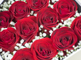Romantic red roses, close up of box with red roses, Preserved roses in a box.
