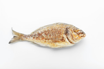 Grilled dorado fish on white background