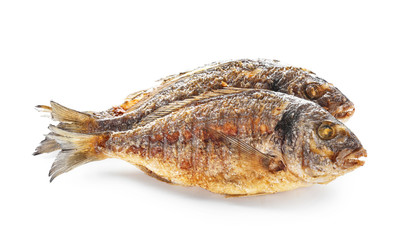 Grilled dorado fish on white background