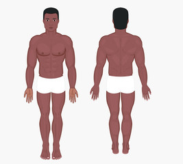 Fototapeta premium Naked body of African American man in full growth in shorts. Posterior, frontal, anterior, back view. Vector illustration for advertising, medical (health care), bodybuilding, sport publication