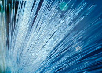 Obraz premium Blue fiber optic background.