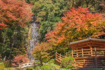 清水の滝と紅葉　佐賀県小城市　日本