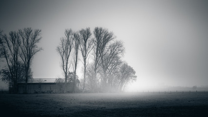 Scheune im Nebel