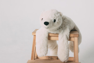 Funny old white polar bear toy on wooden chair isolated on grey background