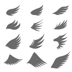 Set of gray wings on white background