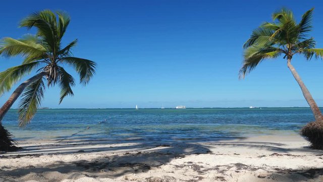 Two coconut palm trees on tropical beach. Caribbean destination