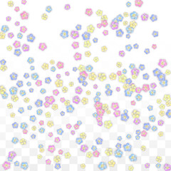 Vector Realistic Colorful Petals Falling on Transparent Background.  Spring Romantic Flowers Illustration. Flying Petals. Sakura Spa Design. Blossom Confetti. Design Elements for Wedding Decoration.