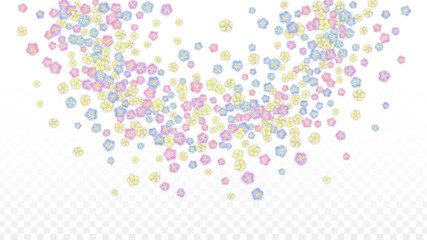 Vector Realistic Colorful Petals Falling on Transparent Background.  Spring Romantic Flowers Illustration. Flying Petals. Sakura Spa Design. Blossom Confetti. Design Elements for Wedding Decoration.