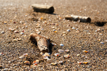 Beach sands and wooden texture