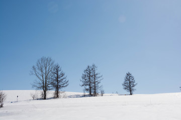 雪の丘と青空　