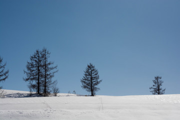 Fototapeta na wymiar 雪の丘と青空　