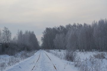 railway in the forest