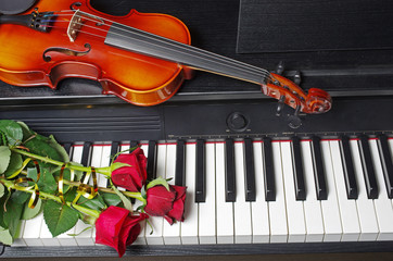 Violin and red roses on the piano keyboard