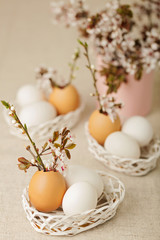 Fototapeta na wymiar Happy easter. Easter decoration - flowering branches in the shell from the eggs.