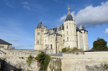 Fototapeta na wymiar chateau de la loire 2