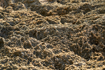 Rock texture and background