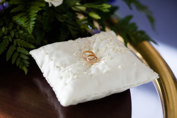 A pair of wedding rings on a white pillow. Pillow on the mirror surface, near the plant.