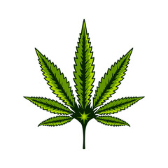 Cannabis flower, Marijuana leaf