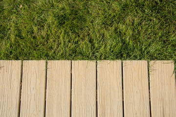 close up parts of modern gardening design, outdoors plants in summer time 