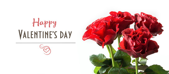 Valentine's card. Bouquet of red roses on white. Close up.