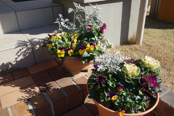 Fototapeta premium 玄関の寄せ植え