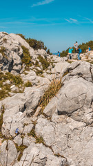 Smartphone HD wallpaper of beautiful alpine view at the Kehlsteinhaus - Eagle s Nest - Berchtesgaden - Bavaria - Germany