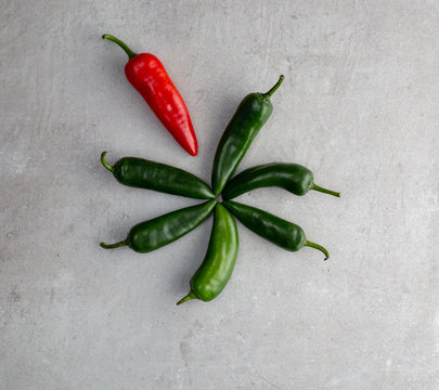 Circle of red and green chillies