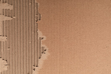 Texture of corrugated cardboard with torn edges. Texture cardboard packaging. Cardboard texture. Cardboard Mesh Background