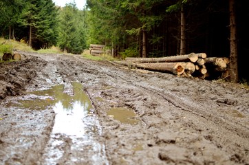 Muddy road in the woods and logs - a large pool in the foreground
