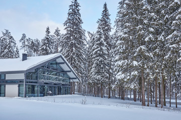 Fototapeta na wymiar Wooden Finnish house in winter forest covered with snow