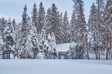 Wooden Finnish house in winter forest covered with snow